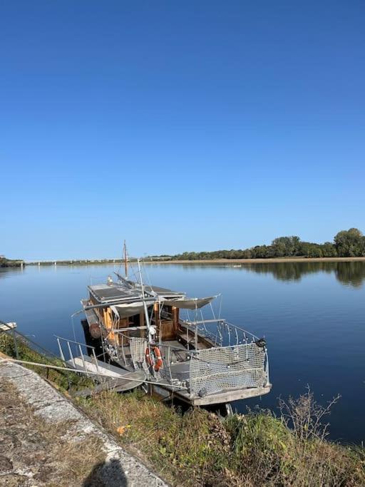 Vila Le Relais De L'Artiste Turquant Exteriér fotografie